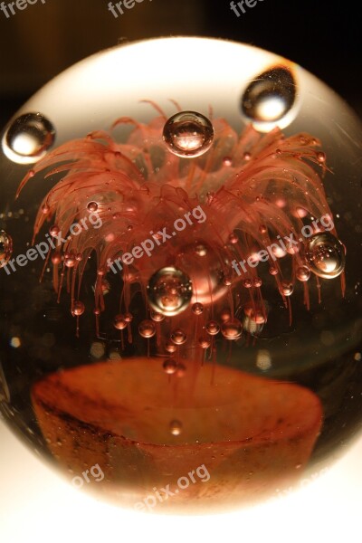 Closeup Color Glass Paperweight Macro