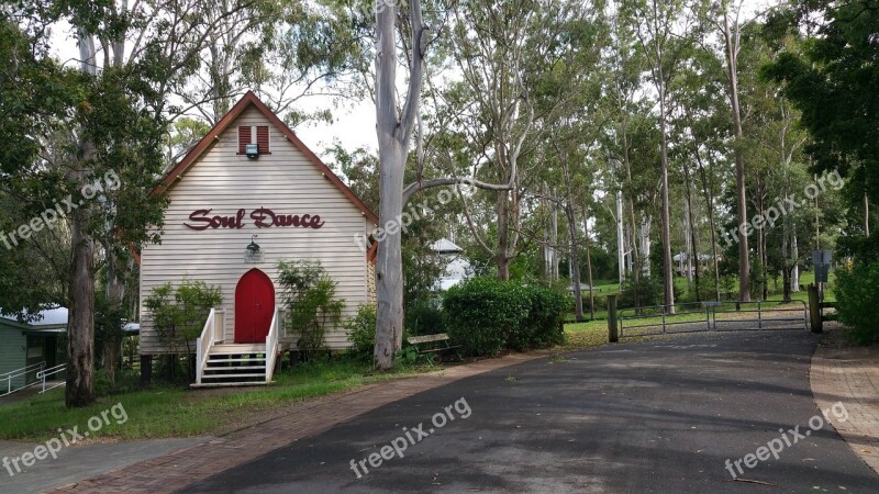 Tree Wood Road Soul Church