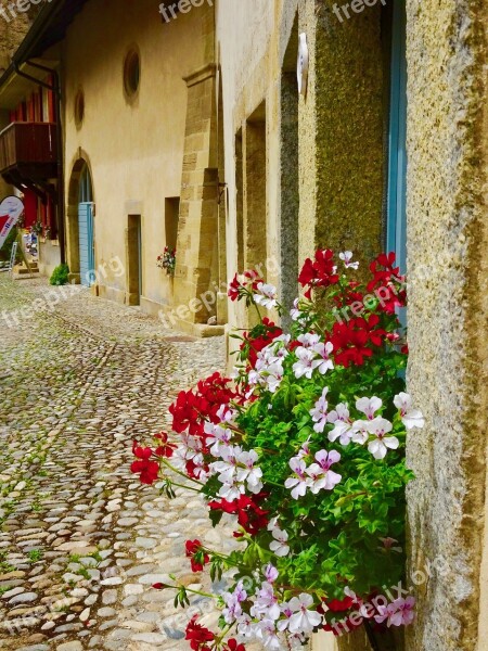 Flowers Blossoms Bouquet Architecture House