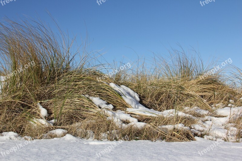 Nature Winter Snow Landscape Cold