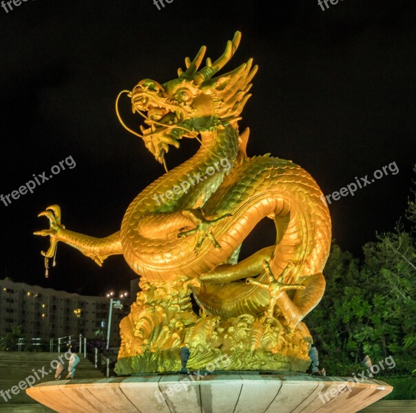 Phuket Thailand Golden Dragon Sculpture Illuminated Night