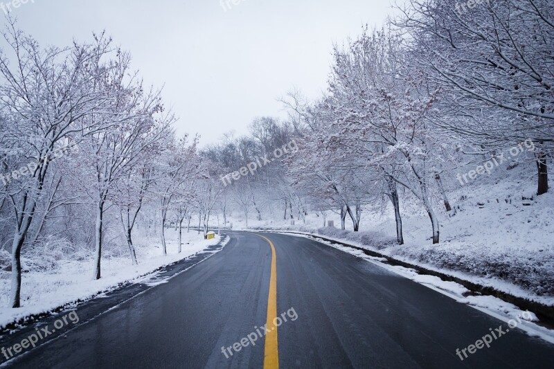 Road Snow Winter Wood Lane