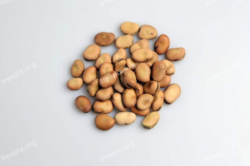 Seeds Bean Nutrients The Pod Healthy Food