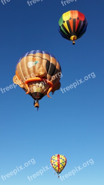 Balloon Air Sky Hot-air Balloon Free Photos