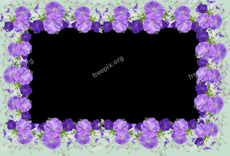 Frame Border Petunias Decoration Free Photos