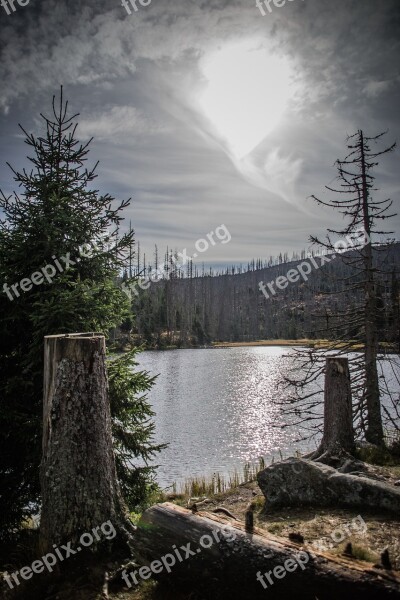 Lake šumava Laka Forests Landscape