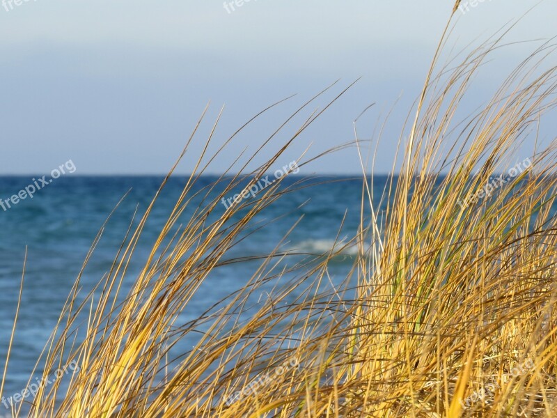 Nature Summer Sky Grass Fair Weather