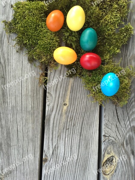 Woods Wood Background Easter Easter Eggs