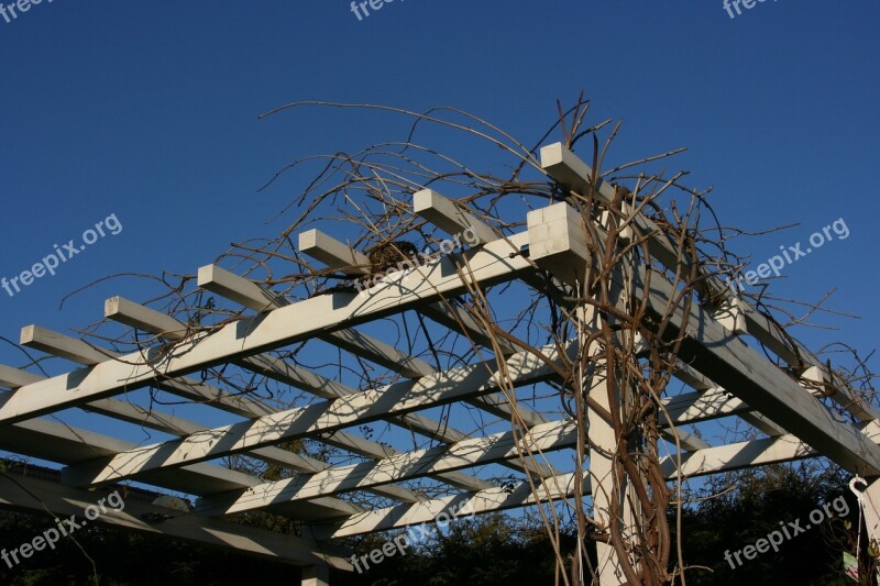 Sky Pergola Nature Blue Sky View