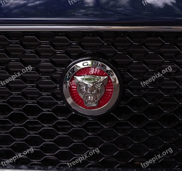 Jaguar Automotive Emblem Logo Grille