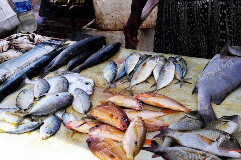 Fish Market Fish Seafood Sea Eating