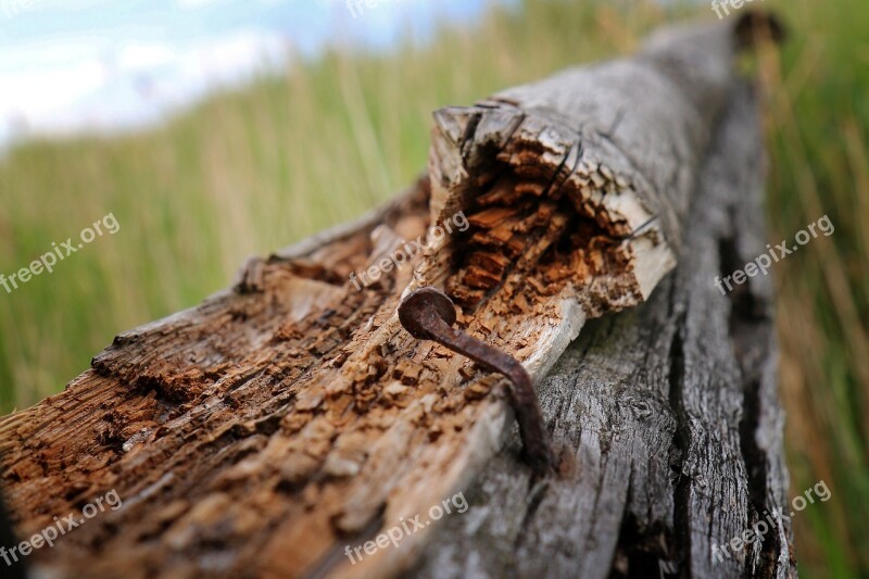 Nail Rust Old Nature Wood