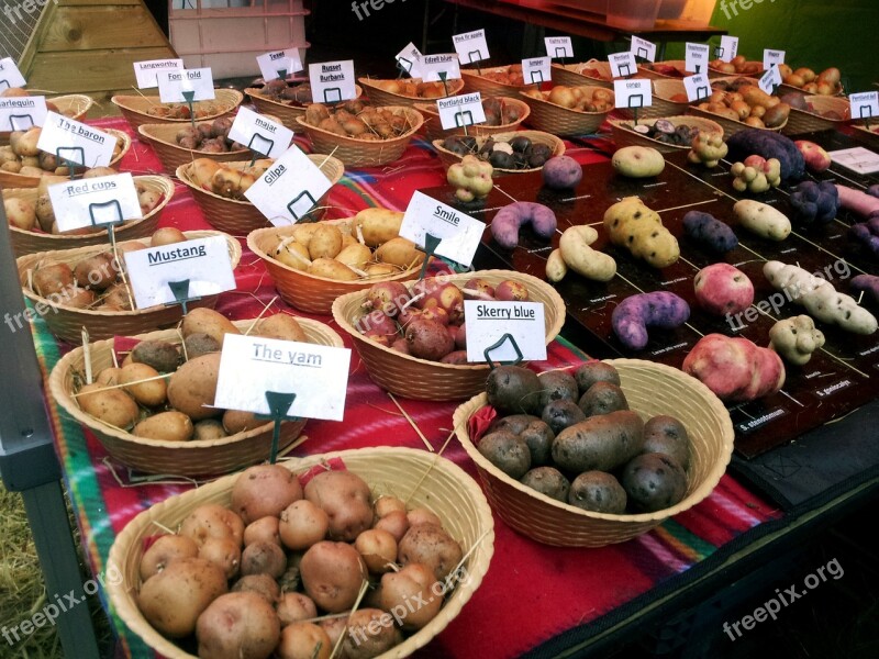 Modern Kitchen Gourmet Potatoes Food Market