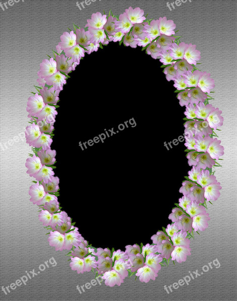 Frame Silver Pink Floral Free Photos