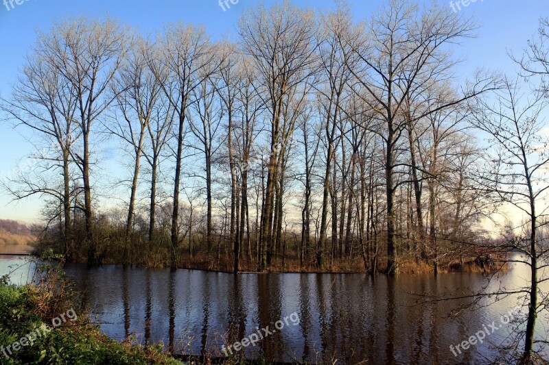 Nature Tree Wood Waters Autumn