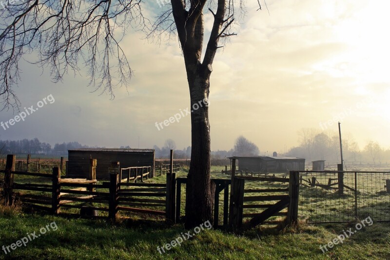 Tree Fence Landscape Nature Dawn