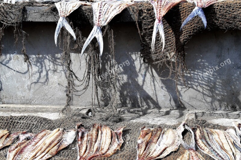 Fish Drying Boiling Hot A Fishing Village Fish Market