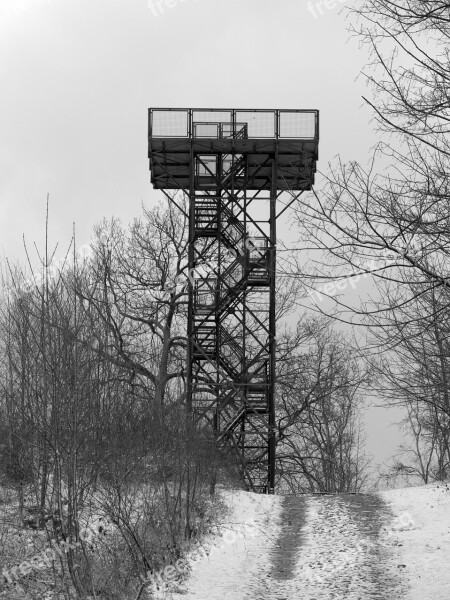 Nature Observation Tower Forest Recovery Rest