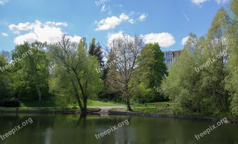 Park Nature Tree Reflection Lake