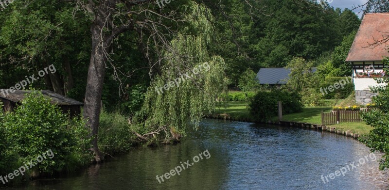 Waters Spreewald Nature Tree Lake