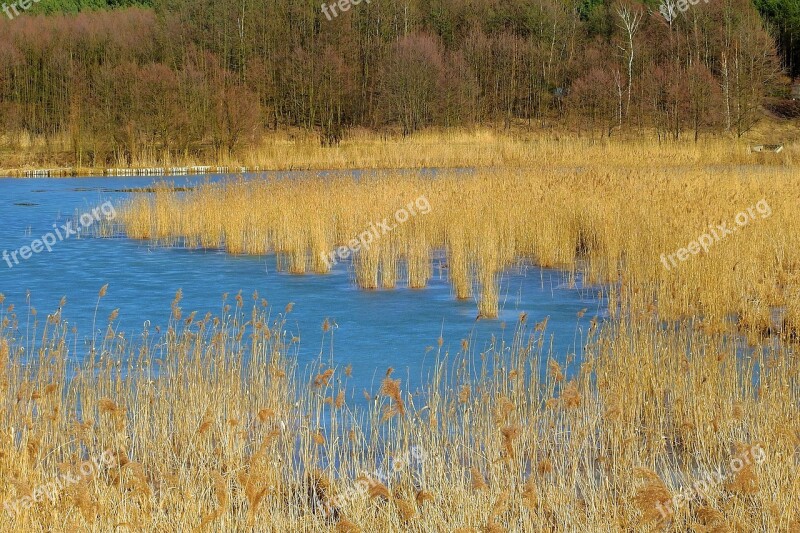 Nature Landscape Lake Cane Poland