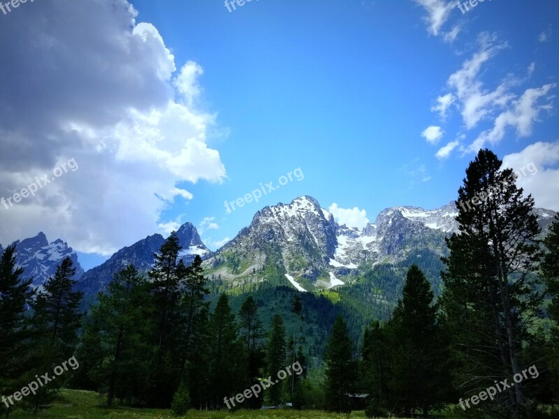 Mountain Panoramic Nature Wood Snow