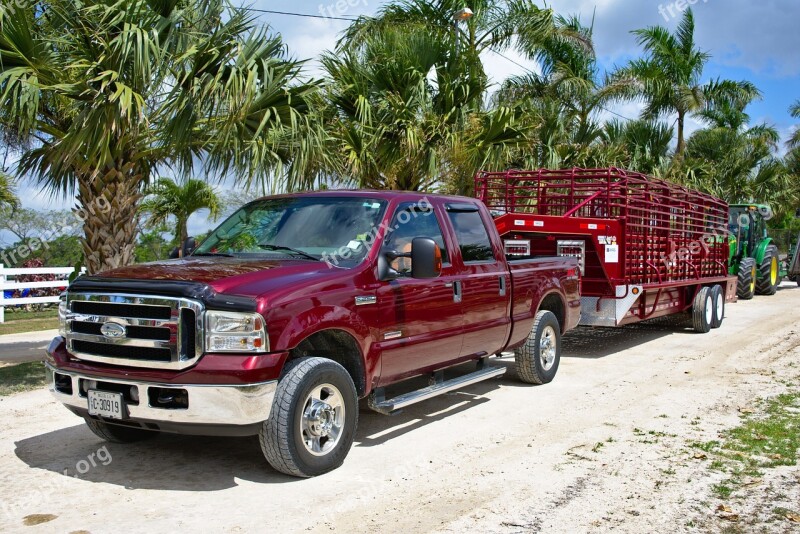 Pickup Vehicle Truck Ford Red