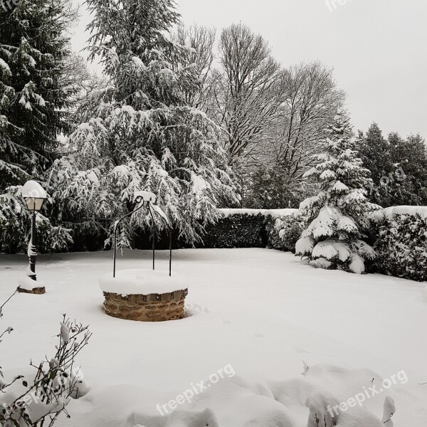 Winter Snow Tree No Person Season