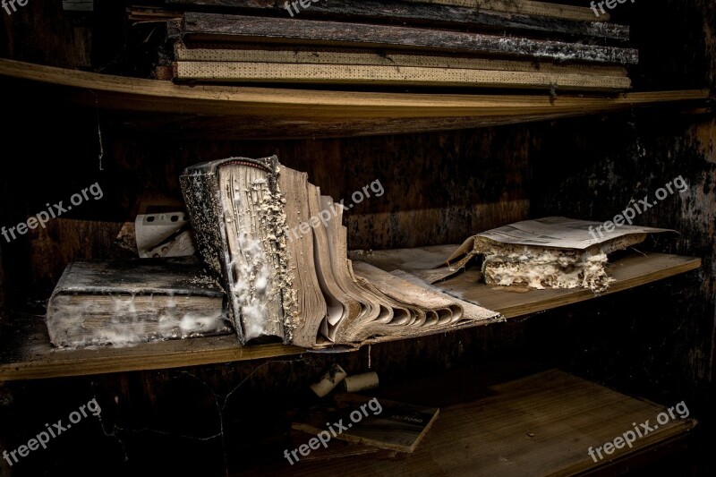 Wood Industry Room Abandoned Old