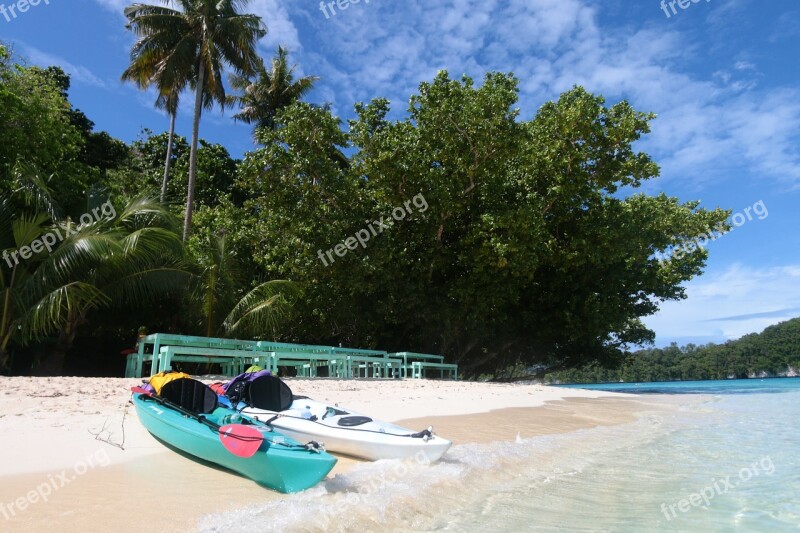 Summer Tropical Tree Ease Sand