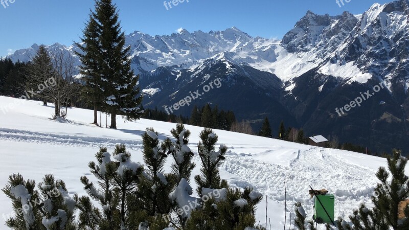 Snow Winter Mountain Cold Nature