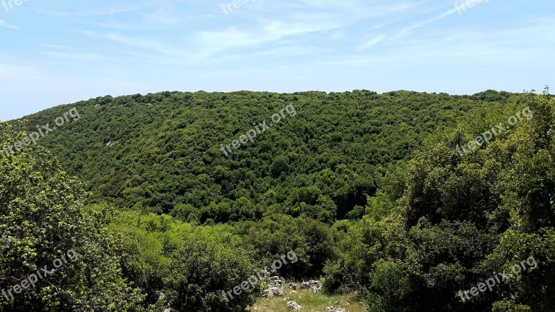 Nature Panoramic Landscape Tree Outdoors