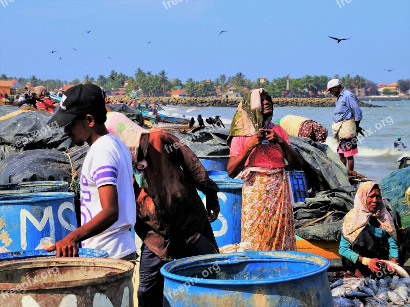 Fish Market Boiling Hot The Person Poverty Work