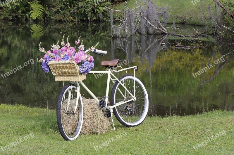 Lawn Bike Old Nature Wedding Flowers