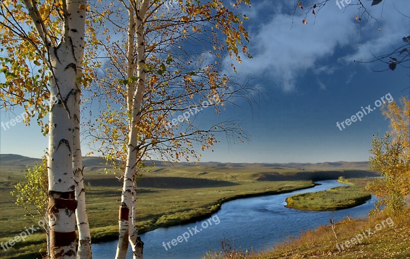 Nature Tree Landscape Autumn Wood