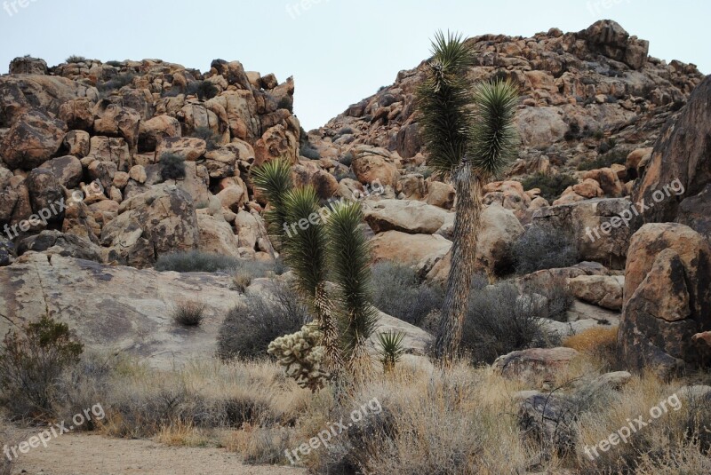 Nature Rock Landscape Stone Desert