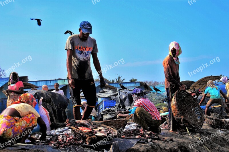 Beach Ocean Fish Network Work