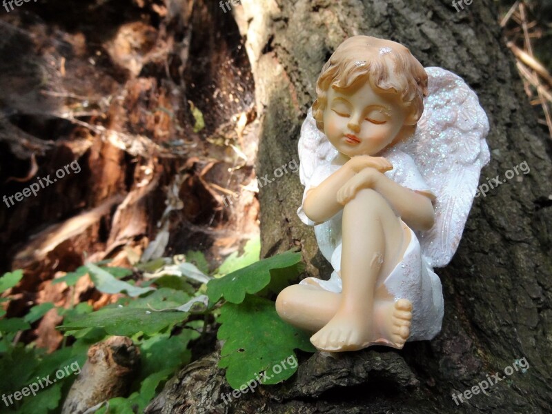 Angel Thinking Angel Nature Trunk Angel In Nature