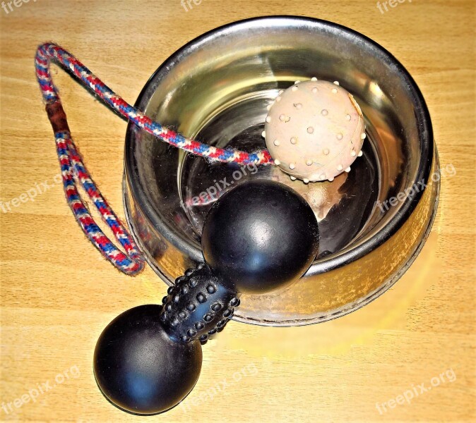 Dog Bowl Dog Toy Dog Utensils Fressnapf Water Bowl