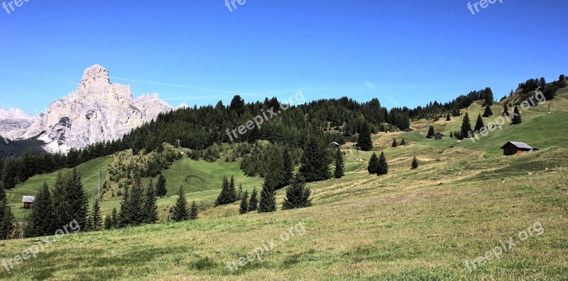 Nature Landscape Tree Panorama Travel