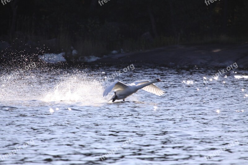 Water Nature Action Outdoors Sea