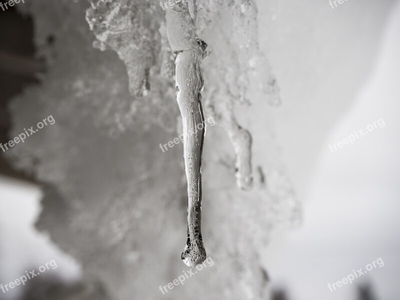 Icicle Melting Sun Spring Winter