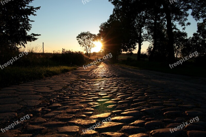 Cobble Stone Road Summer Free Photos