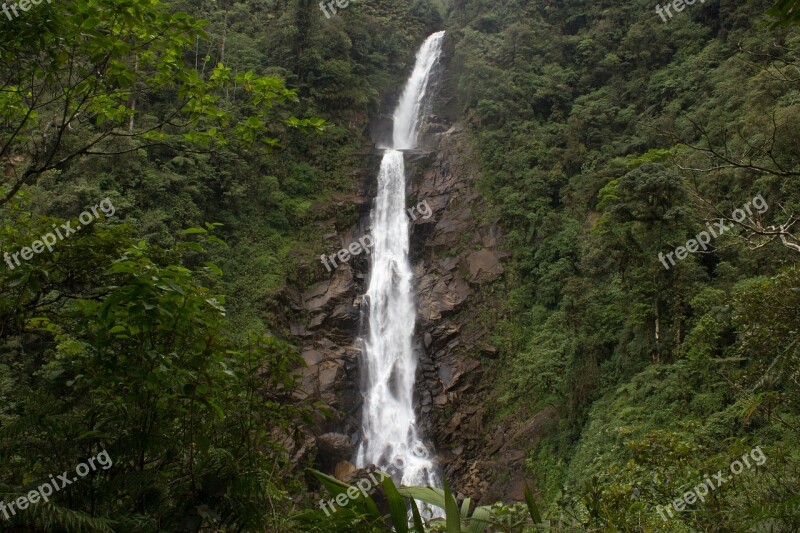 Nature Waterfall Body Of Water Wood Outdoors