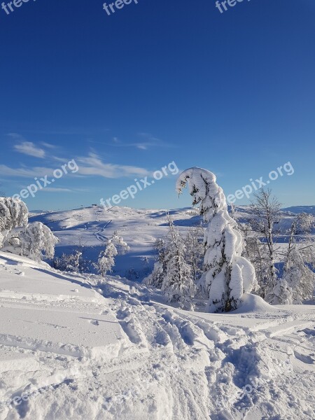 Snow Winter Ice Colds Mountain