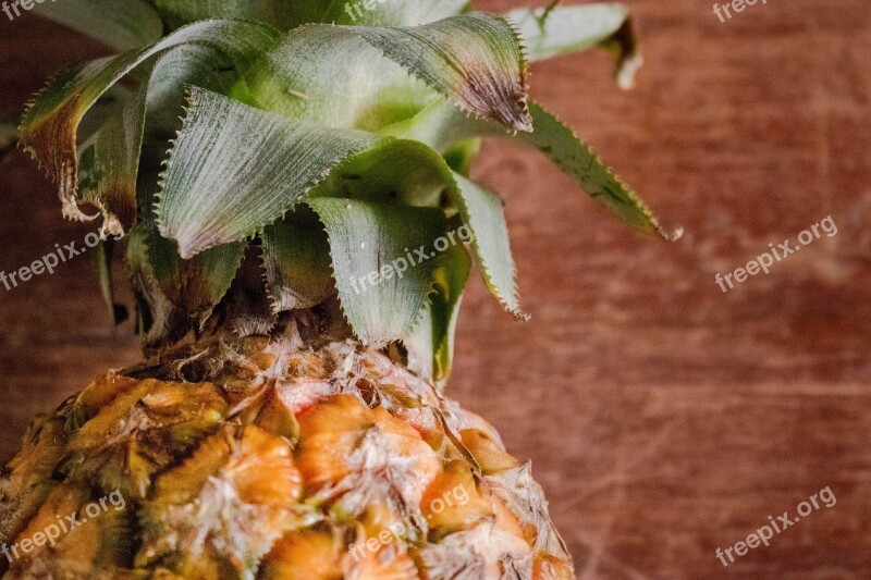 Pineapple Healthy Food Tropical Tropical Fruit