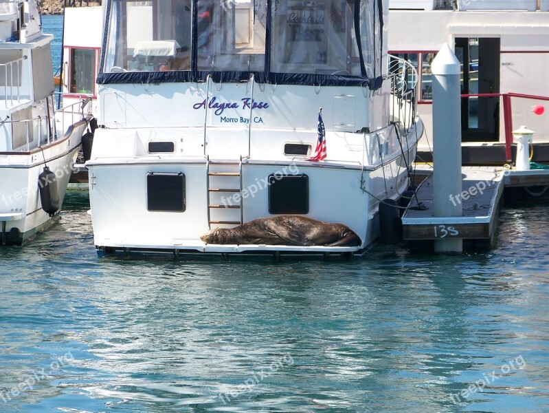 Water Transportation System Travel Sea Free Photos