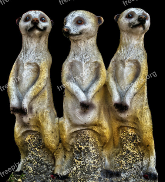 Meerkat Group Ceramic Figurengruppe Garden Figurines