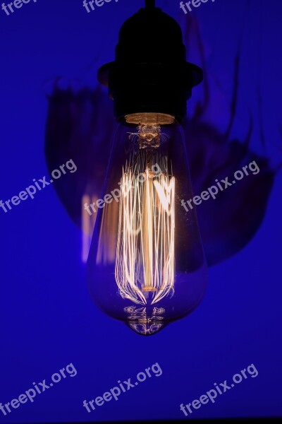 Filament Vintage Lamp Close Up Disappearing Tungsten