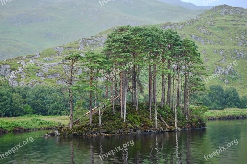 Water Nature River Lake Tree